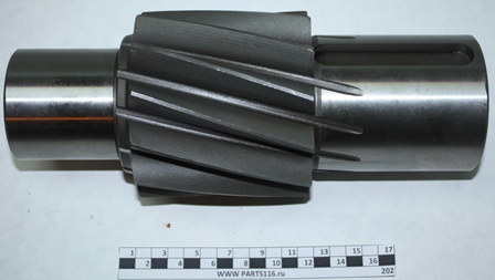 Шестерня ведущая цилиндрическая 12 зубов КРАЗ-260 (косозубая) (260-2402110-10)