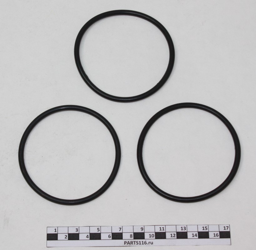 Уплотнение (кольцо помпы) водяного насоса круглое на Сummins ISBe,ISDe,4BT,6BT OE