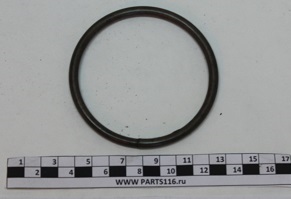 Кольцо подшипника кулака поворотного стопорное УРАЛАЗ с хранения (5557-2304071)