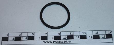 Кольцо уплотнительное втулки разжимного кулака (резина) УРАЛАЗ (S3502044Е260)